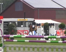 jumper Call him coleur (Oldenburg show jumper, 2010)