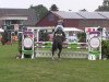 Springpferd Uno Diabolo (KWPN (Niederländisches Warmblut), 2014, von Ustinov)