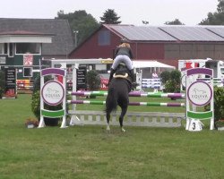 jumper Uno Diabolo (KWPN (Royal Dutch Sporthorse), 2014, from Ustinov)