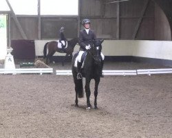 dressage horse Lacucina B (Württemberger, 2009, from Loving Dancer)