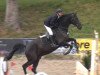 jumper Christiano 10 (Hanoverian, 2009, from Christ)