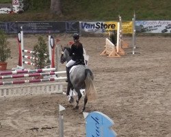 Springpferd Miss Coco Chanel (Hessisches Warmblut, 2009, von Chalet)