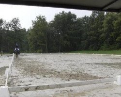 dressage horse Fräulein Wierling (Westfale, 2010, from Fiderstep)