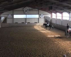 dressage horse Rosegarden's Girl (Westphalian, 2008, from Spielberg)