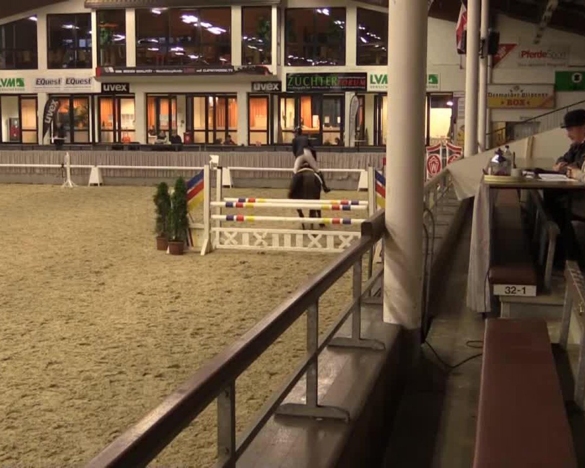 dressage horse Sambia 39 (Trakehner, 2010, from El Greco)