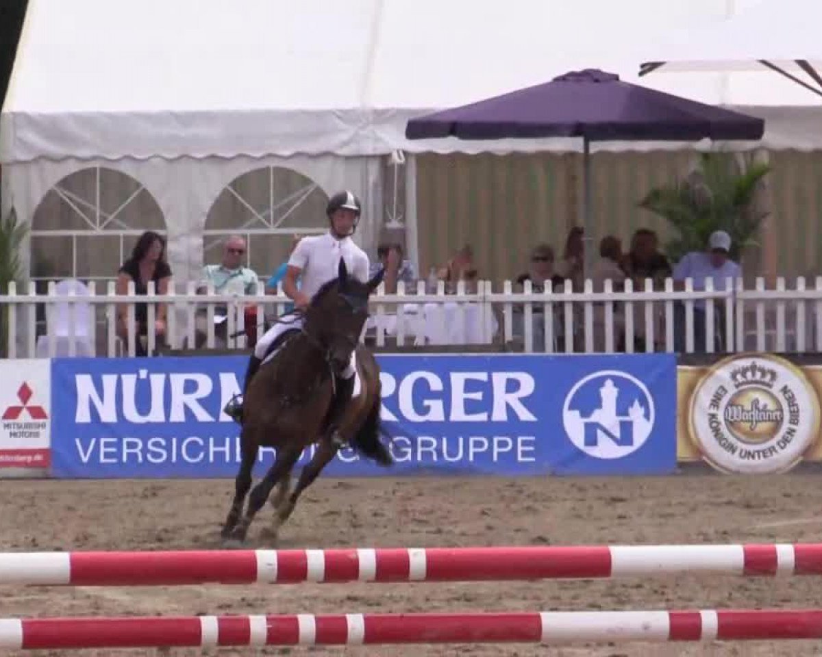 Springpferd Cavendish 4 (KWPN (Niederländisches Warmblut), 2005)