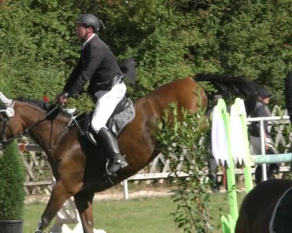 Reitturnier Wernigerode 2020