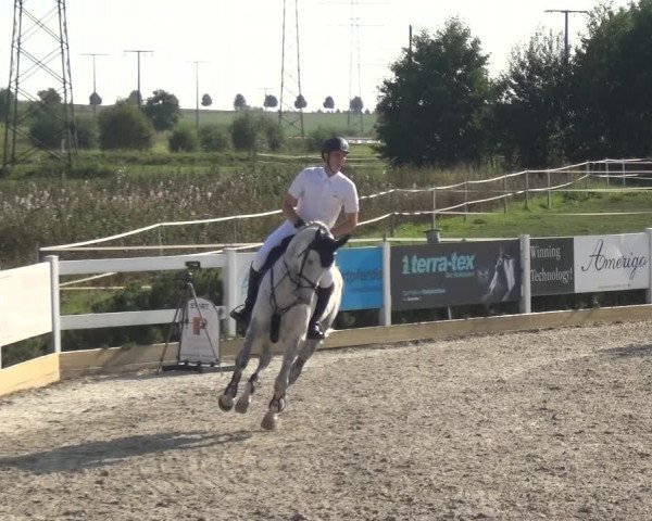 Reitturnier Sauldorf-Boll 2020