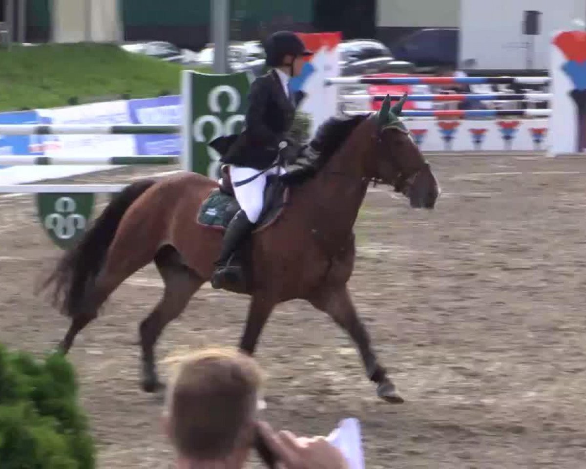 Springpferd Diablo (KWPN (Niederländisches Warmblut), 2008, von Numero Uno)