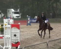 Springpferd Lady Letizia (Rheinländer, 2004, von Laurentianer)