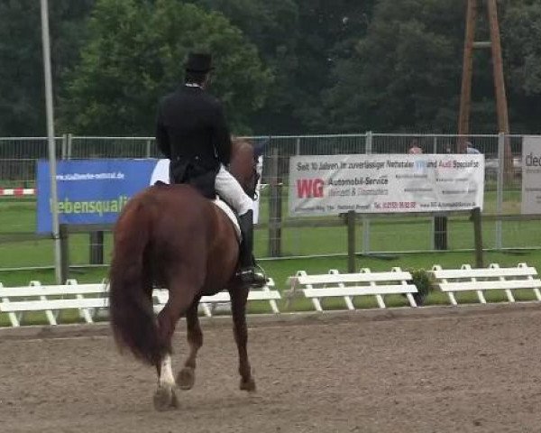 dressage horse Tia Karmina (unknown,  )