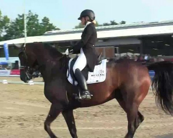 stallion Bon'A Parte S (KWPN (Royal Dutch Sporthorse), 2006, from Van the Man)
