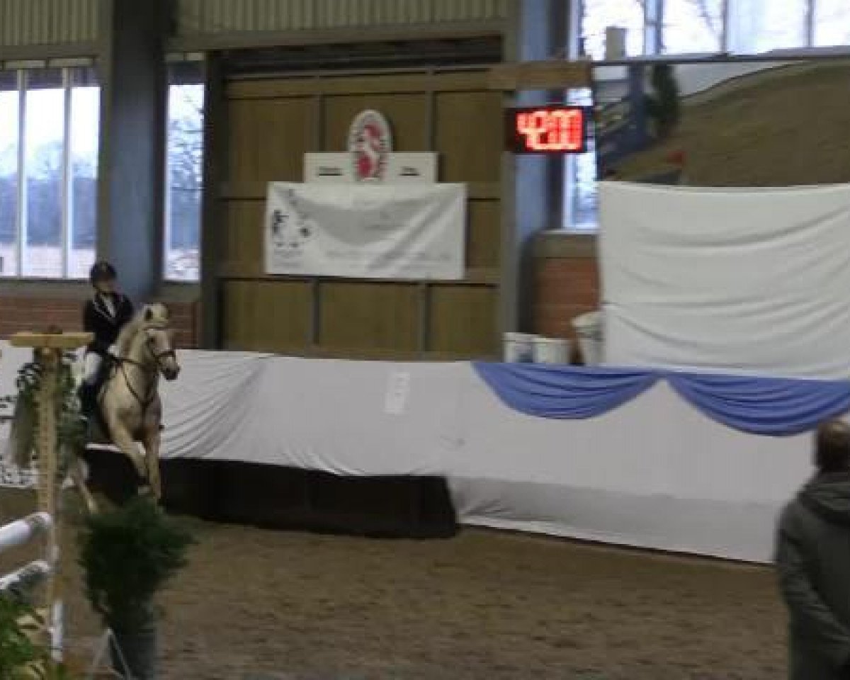 broodmare Tinkerbell 36 (Westphalian, 2010, from Top Gun I)