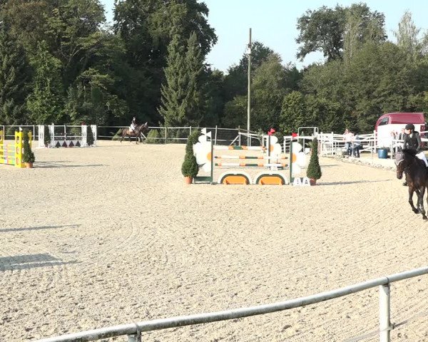Reitturnier Winkel 2020