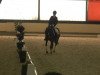 dressage horse Tennessee 66 (German Riding Pony, 2008)