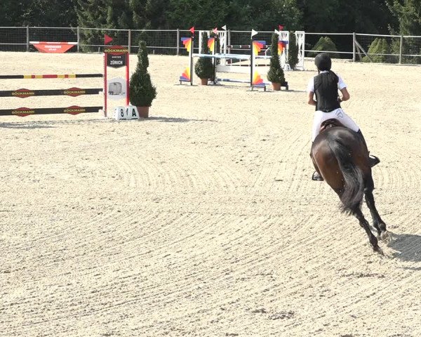 Reitturnier Winkel 2020