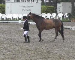 dressage horse Mary Poppins (German Riding Pony, 2010, from Monte Christo)