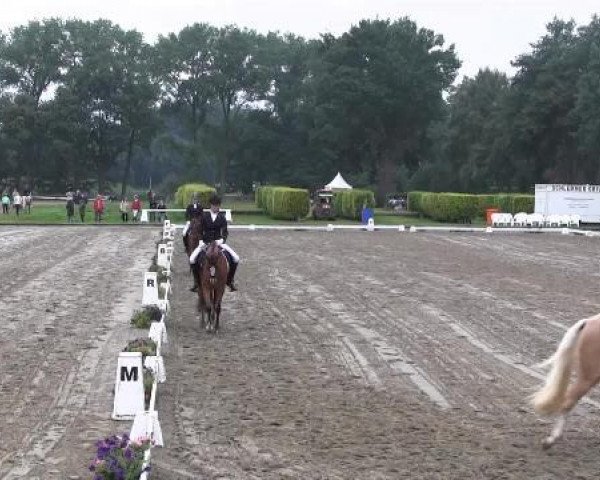 dressage horse Magic Flow (German Riding Pony, 2011)