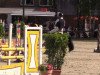 dressage horse Little Big (Westphalian,  )