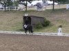 dressage horse Bienchen 17 (unknown, 1996)