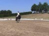 dressage horse Si Belle 2 (Oldenburg, 2009, from Sir Donnerhall I)