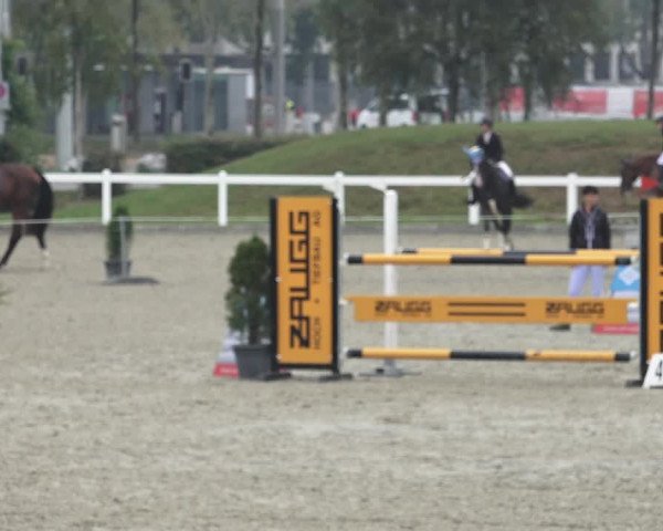 Reitturnier Bern 2020