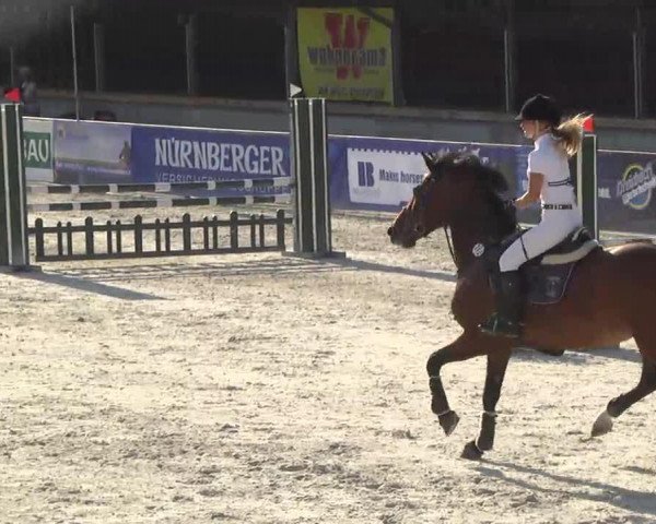 Springpferd Giada 4 (Italienisches Warmblut, 2003)