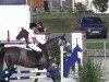 jumper Solide 12 (Italian Warmblood, 1999)