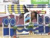 jumper Estelle Zazou (KWPN (Royal Dutch Sporthorse), 2009, from Zazou R)