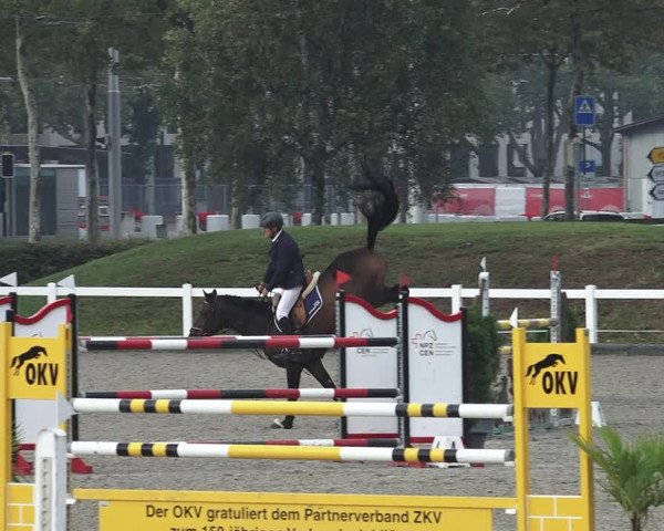 Reitturnier Bern 2020