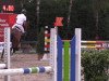 jumper Ivado (Belgian Warmblood, 2008)