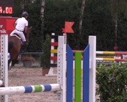 Springpferd Ivado (Belgisches Warmblut, 2008)