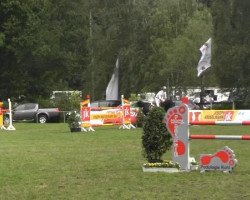 broodmare Naitiri (Oldenburg show jumper, 2008, from Nintender)