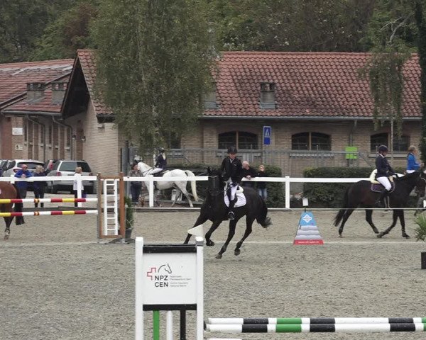 Reitturnier Bern 2020