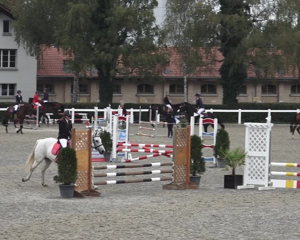 Reitturnier Bern 2020