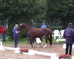 stallion Hengst von Fidertanz (Westphalian, 2014, from Fidertanz)