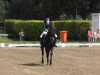 dressage horse Francesco 77 (Oldenburg, 2008, from Florencio I)