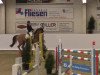 jumper Can Win (Oldenburg show jumper, 2009, from Canstakko)