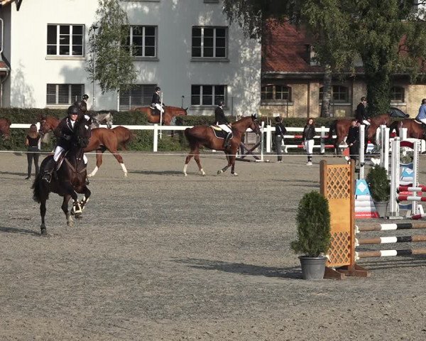 Reitturnier Bern 2020
