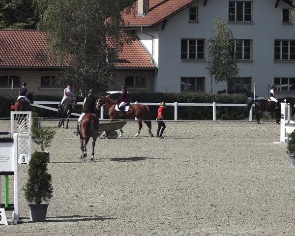 Reitturnier Bern 2020