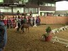 broodmare Doris Day (German Riding Pony, 2014, from FS Don't Worry)