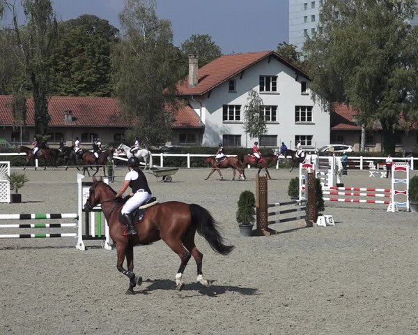 Reitturnier Bern 2020