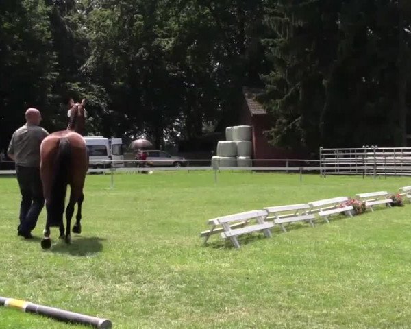 dressage horse Fidicadanza Taonja (Westphalian, 2011, from Diamond Hit)