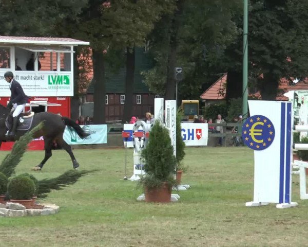 jumper Charity 44 (KWPN (Royal Dutch Sporthorse), 2007)