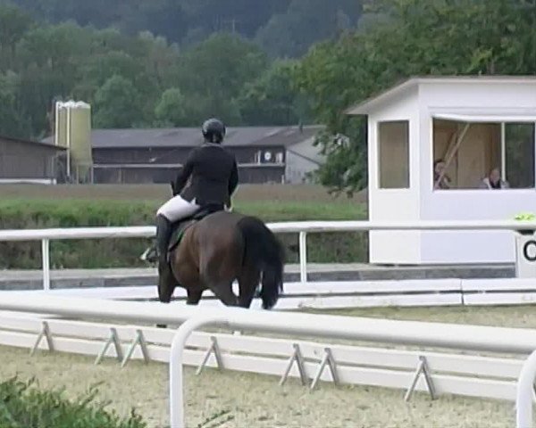 Reitturnier Eiken 2020
