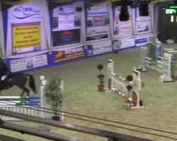 jumper Cacau 11 (Hanoverian, 2010, from Catoki)