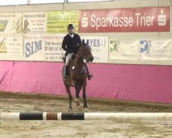 jumper Quidam's Jewels (KWPN (Royal Dutch Sporthorse), 2009, from Quidam de Revel)