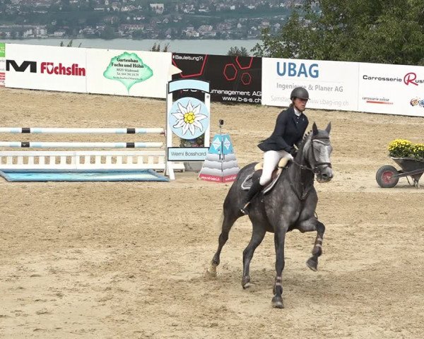 Reitturnier Wädenswil 2020
