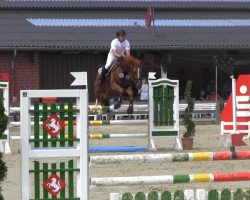 jumper My best friend (Oldenburg show jumper, 2009, from Michael)