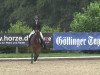 dressage horse Izzy Stevens (Westphalian, 2009, from Insterburg TSF)